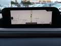Mazda CX-30 CX-30 AWD GT+ X186 Aut. Schwarz - thumbnail 22