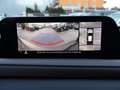 Mazda CX-30 CX-30 AWD GT+ X186 Aut. Schwarz - thumbnail 23