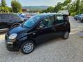Fiat Panda Panda III 1.0 firefly hybrid s Noir - thumbnail 17