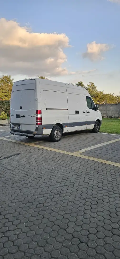 Mercedes-Benz Sprinter 311 cdi Bianco - 1