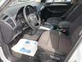 Audi Q5 2.0 TDI 143CH FAP AMBIENTE - thumbnail 7