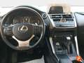 Lexus NX 300h 2.5 Business 2WD Kék - thumbnail 10