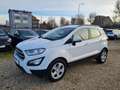 Ford EcoSport Cool -1Hand/21Tklm./TÜV+Inspektion-Neu Blanc - thumbnail 1