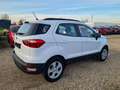 Ford EcoSport Cool -1Hand/21Tklm./TÜV+Inspektion-Neu Blanc - thumbnail 5
