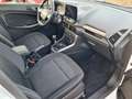 Ford EcoSport Cool -1Hand/21Tklm./TÜV+Inspektion-Neu Blanc - thumbnail 10