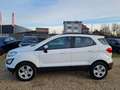 Ford EcoSport Cool -1Hand/21Tklm./TÜV+Inspektion-Neu Blanc - thumbnail 2