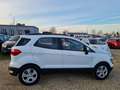 Ford EcoSport Cool -1Hand/21Tklm./TÜV+Inspektion-Neu Blanc - thumbnail 6
