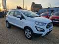 Ford EcoSport Cool -1Hand/21Tklm./TÜV+Inspektion-Neu Blanc - thumbnail 7