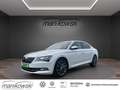Skoda Superb 2.0TDI DSG *Laurin & Klement*Navi+BT+RFK+ACC+Leder Weiß - thumbnail 1