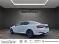 Skoda Superb 2.0TDI DSG *Laurin & Klement*Navi+BT+RFK+ACC+Leder Weiß - thumbnail 3