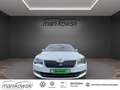 Skoda Superb 2.0TDI DSG *Laurin & Klement*Navi+BT+RFK+ACC+Leder Weiß - thumbnail 8