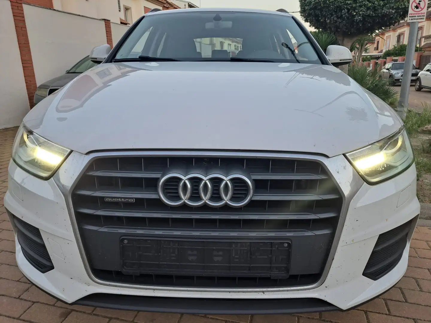 Audi Q3 Q3 2.0TDI quattro 110kW Blanco - 1