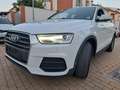 Audi Q3 Q3 2.0TDI quattro 110kW Blanco - thumbnail 4