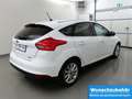 Ford Focus 1.0 Ecob Titanium Xenon+Kam+Keyless Weiß - thumbnail 4