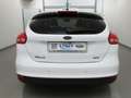 Ford Focus 1.0 Ecob Titanium Xenon+Kam+Keyless Weiß - thumbnail 5