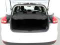 Ford Focus 1.0 Ecob Titanium Xenon+Kam+Keyless Weiß - thumbnail 8