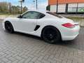Porsche Cayman 3.4 PDK Wit - thumbnail 12