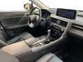 Lexus RX 450h Executive Line & Pano & Carp Bleu - thumbnail 11