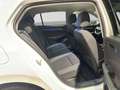Volkswagen Golf 1.5 TSI ACTIVE LED+ HuD ST.HEIZ KAMERA Weiß - thumbnail 6
