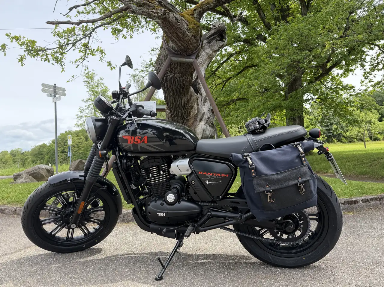Bsa