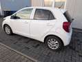 Kia Picanto Picanto  5-Türer 1.0 Edition 7 Weiß - thumbnail 3