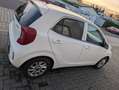 Kia Picanto Picanto  5-Türer 1.0 Edition 7 Weiß - thumbnail 5