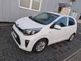 Kia Picanto Picanto  5-Türer 1.0 Edition 7 Weiß - thumbnail 2