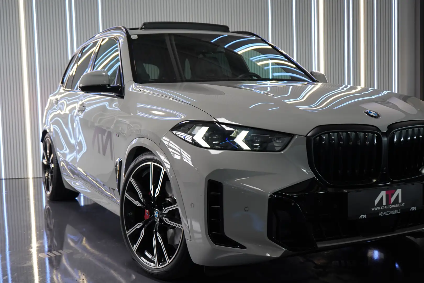 BMW X5 xDrive30d Brooklyn Grau M-Sitze/HUD/Pano/Soft Grau - 2