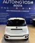Fiat Panda 1.0 firefly hybrid Cross s&s PRONTA CONSEGNA Bianco - thumbnail 6