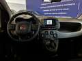 Fiat Panda 1.0 firefly hybrid Cross s&s PRONTA CONSEGNA Bianco - thumbnail 8