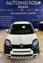 Fiat Panda 1.0 firefly hybrid Cross s&s PRONTA CONSEGNA Bianco - thumbnail 5