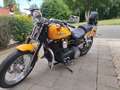 Harley-Davidson Dyna Street Bob Galben - thumbnail 3