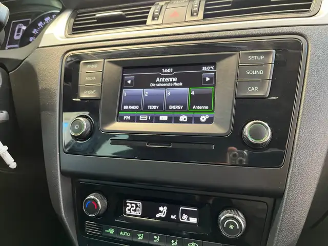Skoda Rapid view 13