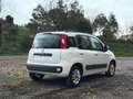 Fiat Panda 1.2 EasyPower LOUNGE SOLO 29MILA K Wit - thumbnail 4