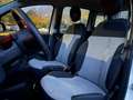 Fiat Panda 1.2 EasyPower LOUNGE SOLO 29MILA K Wit - thumbnail 10