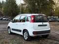 Fiat Panda 1.2 EasyPower LOUNGE SOLO 29MILA K Wit - thumbnail 6