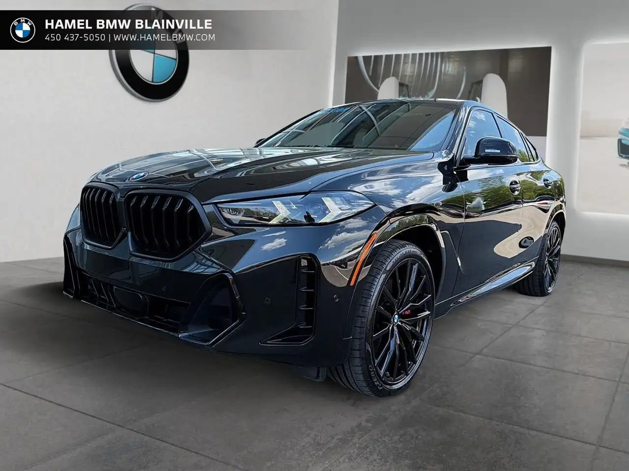 2026 BMW X6