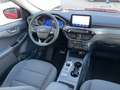 Ford Kuga PHEV Titanium Navi 2xKamera Voll-LED 2xPDC Rot - thumbnail 19