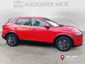 Nissan Qashqai MHEV 140 CV Business Rot - thumbnail 7