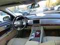 Jaguar XF 2.7D BI-TURBO LUXE Negru - thumbnail 13