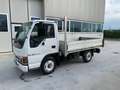 Isuzu NKR 3.0 TD Cassone Fisso Bianco - thumbnail 4
