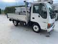 Isuzu NKR 3.0 TD Cassone Fisso Bianco - thumbnail 1
