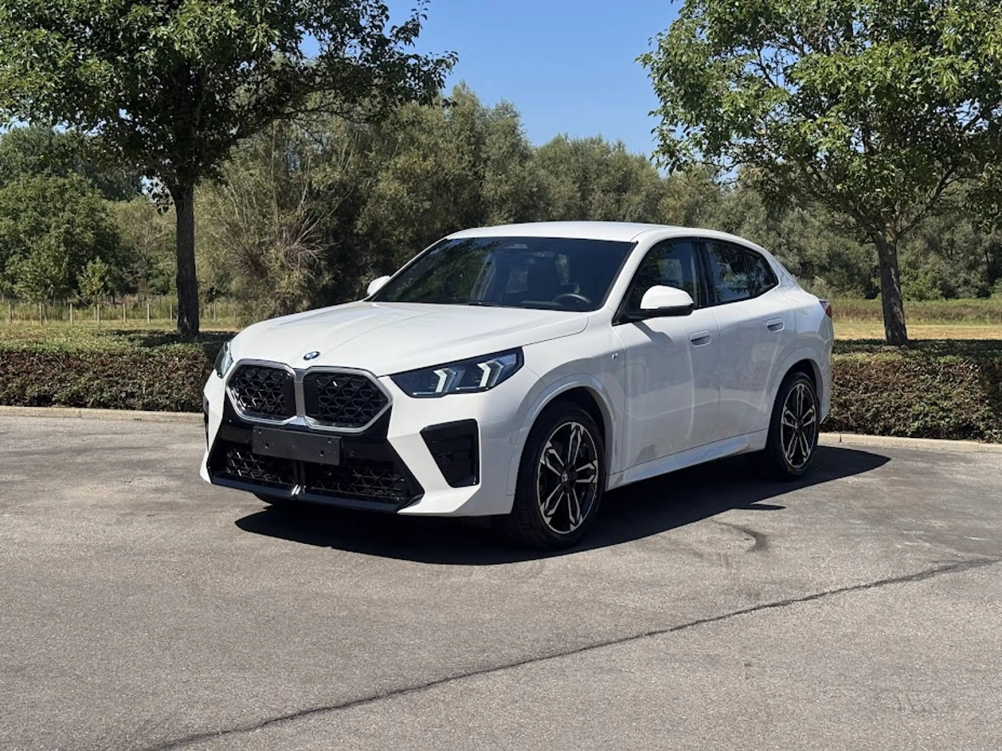 BMW X2 sDrive20i M Sport / HUD / 360CAM / ICONIC GLOW