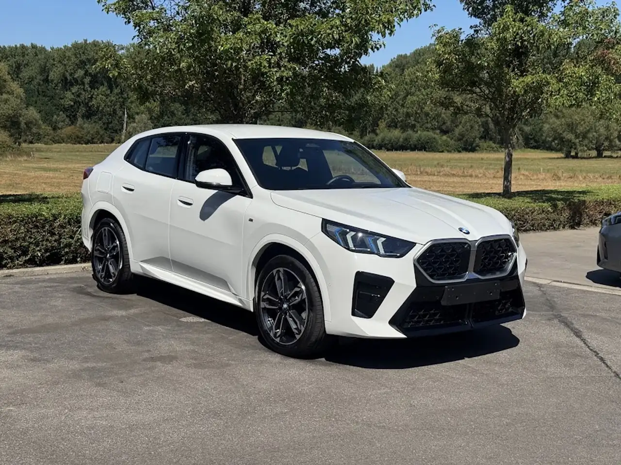 BMW X2 sDrive20i M Sport / HUD / 360CAM / ICONIC GLOW, миниатюра 8