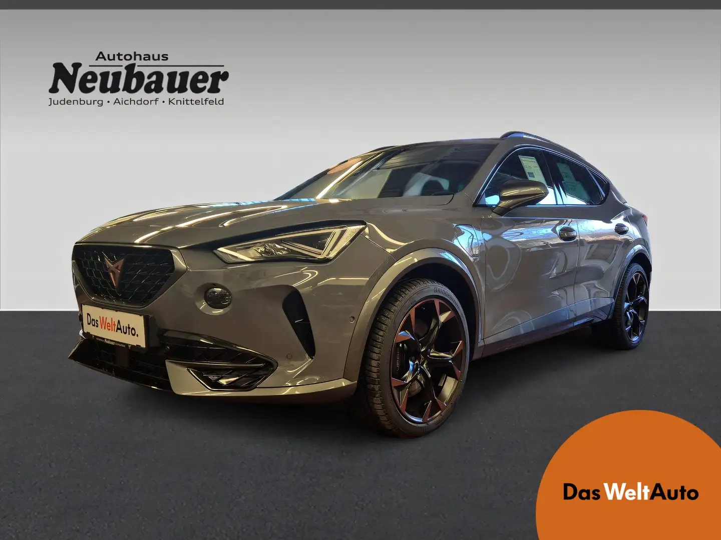 CUPRA Formentor TRIBE VZ e-HYBRID 245 PS DSG Gris - 1