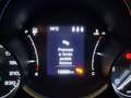 Fiat 500X 1.0 Turbo City Cross PREZZO REALE GARANZIA 12 MESI Verde - thumbnail 10