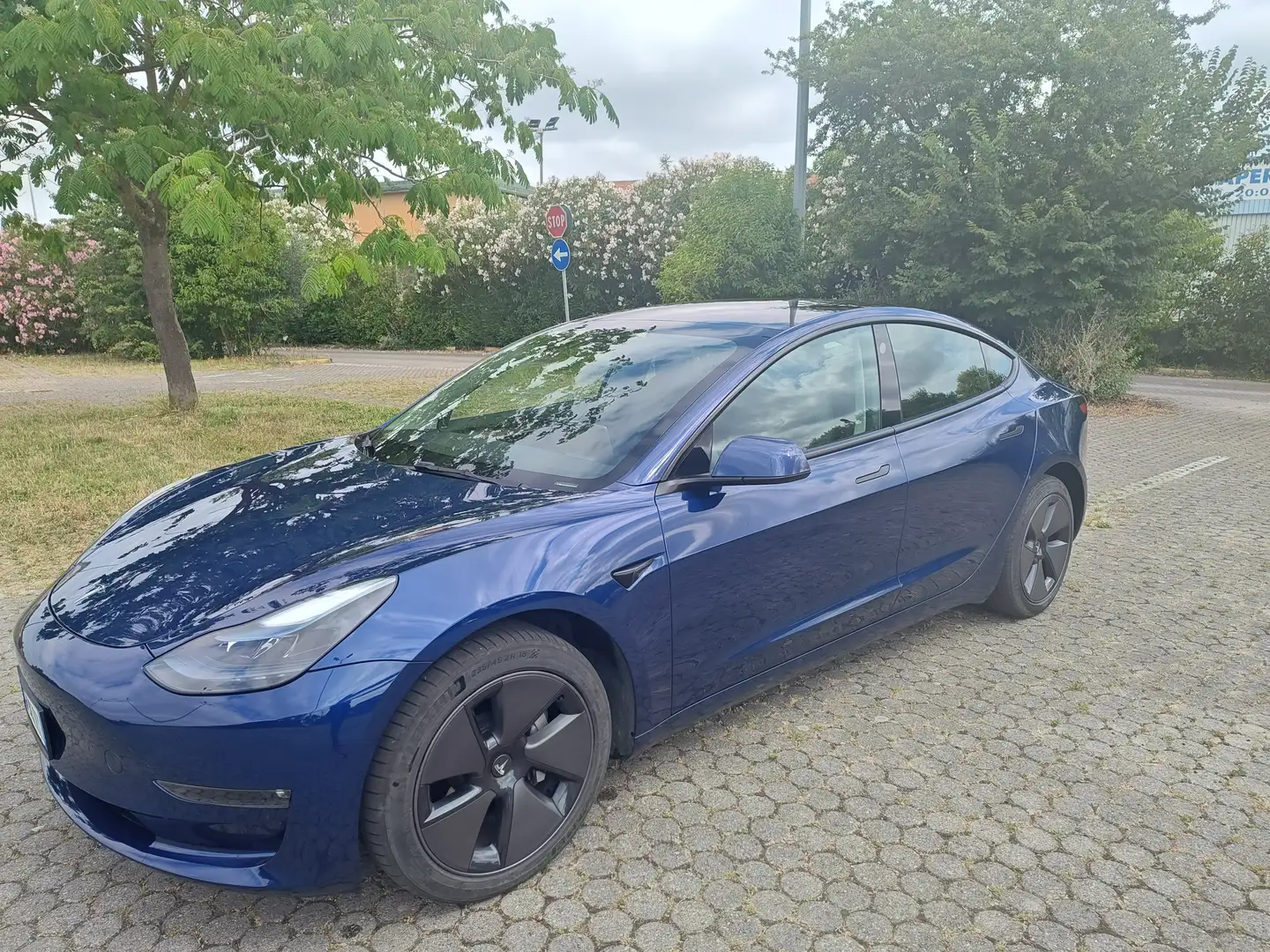 Tesla Model 3 Long Range Dual Motor awd (4X4) 450 CV Blu/Azzurro - 2