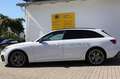 Audi A4 Avant 40 TDI S line Matrix/DAB/ACC/360°... Weiß - thumbnail 6