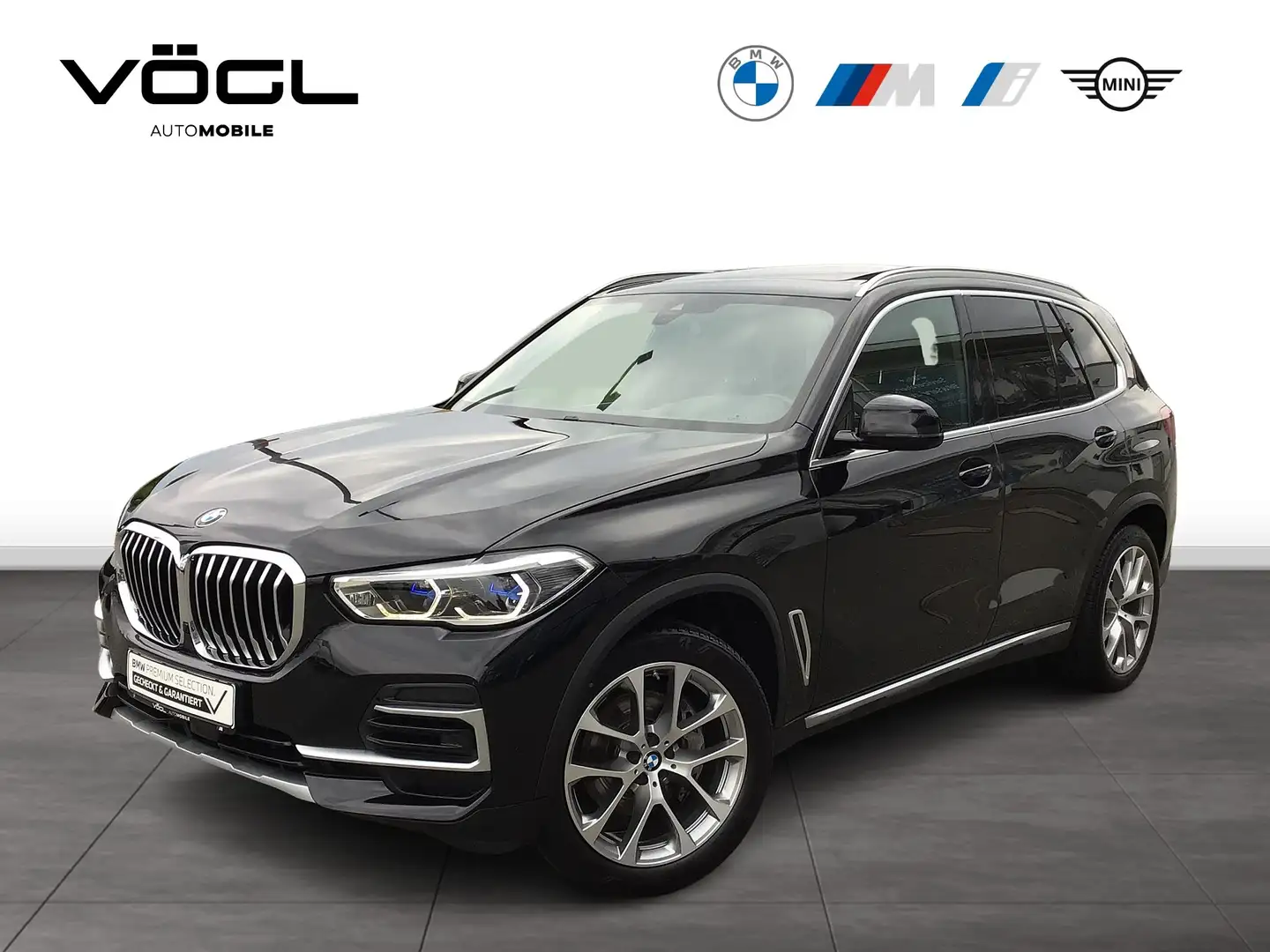 BMW X5 xDrive30d xLine Innovationspaket Standheizung Pano Noir - 1