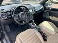Volkswagen Beetle 1.4 TSI Cabriolet 50´s Design Autom. Schwarz - thumbnail 3